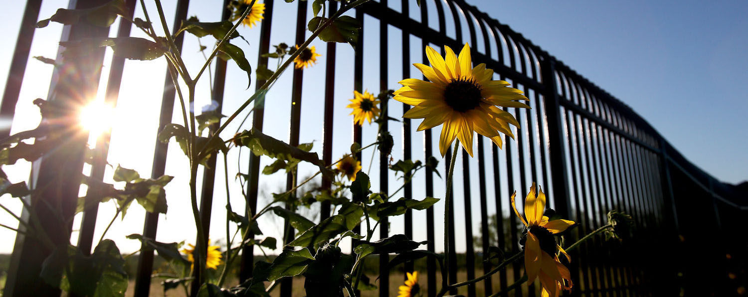 Texas border fence